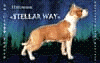 
STELLAR VEY Kennel
